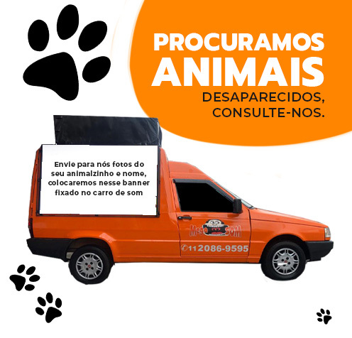 Procura-se animal